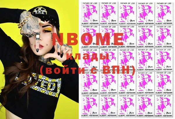 индика Белокуриха