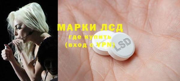 индика Белокуриха