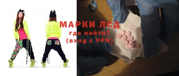 индика Белокуриха