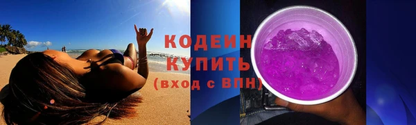 индика Белокуриха