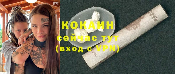 молекула духа Белоозёрский