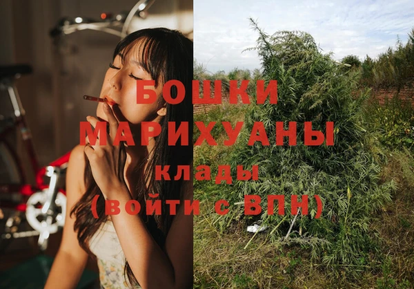 молекула духа Белоозёрский