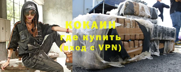 индика Белокуриха
