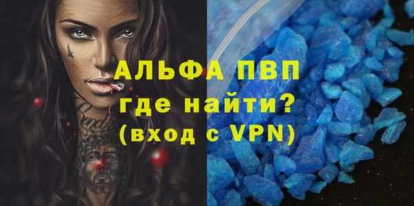 индика Белокуриха