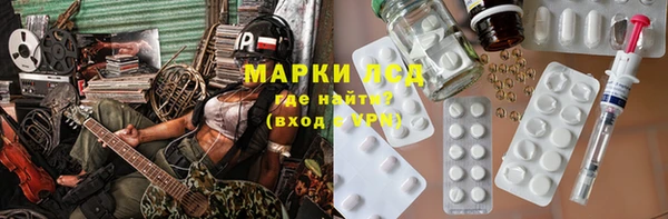 индика Белокуриха