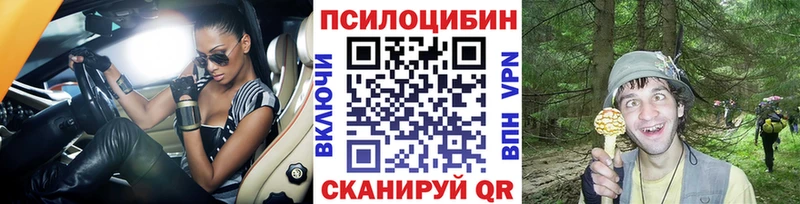 ссылка на мегу зеркало  Ростов-на-Дону  Галлюциногенные грибы MAGIC MUSHROOMS  darknet клад  закладки 